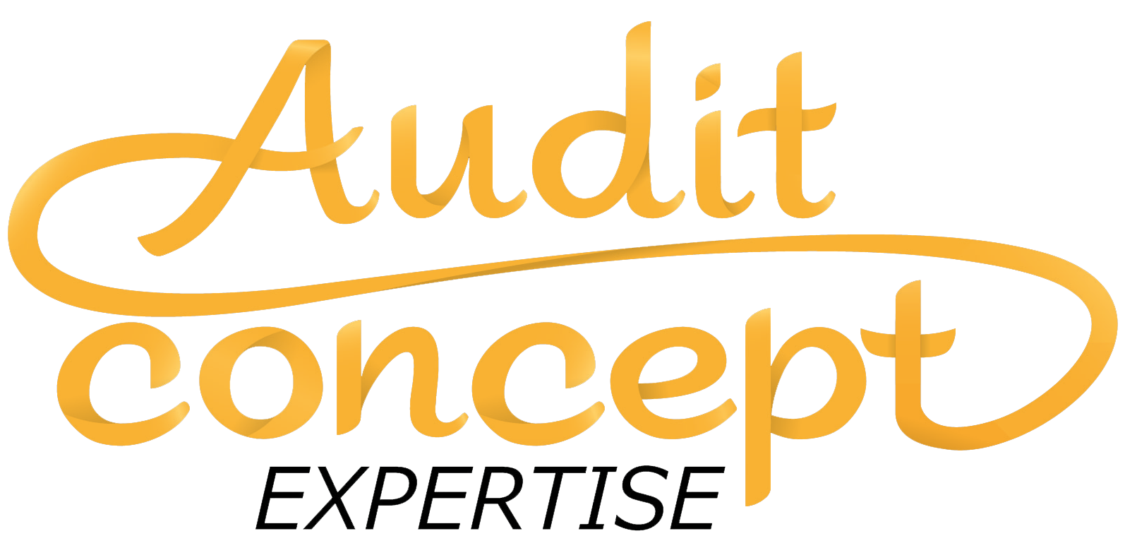 Audit Concept Expertise